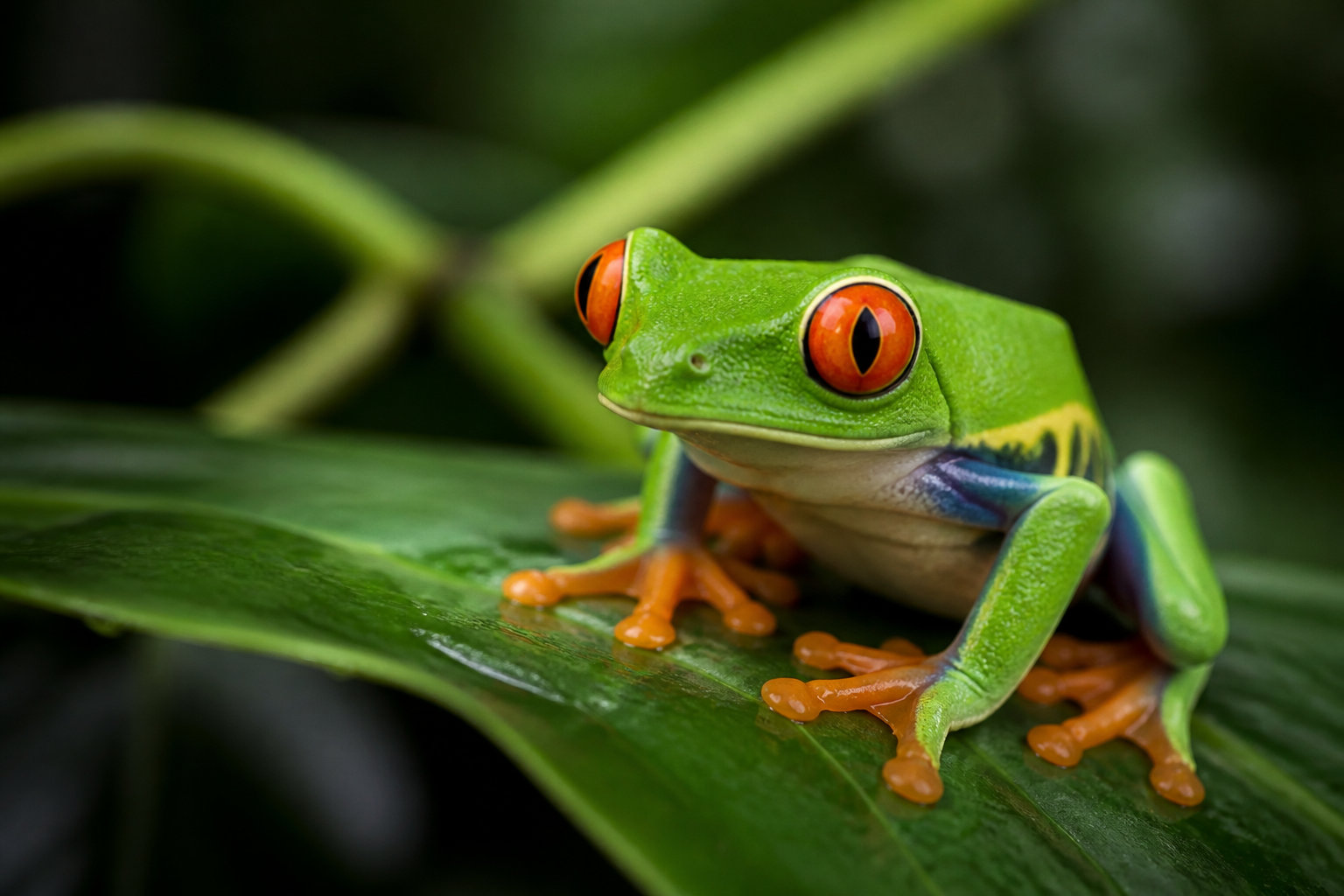 Comment piloter l'indexation dans un environnement automatisé ?